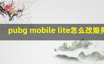 pubg mobile lite怎么改服务器